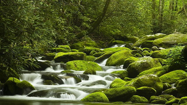 MBR Solution 640X360px