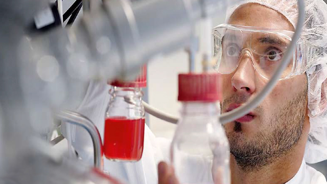 Cell-cultures-here28 640x360